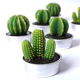 Buy Cocomoon Cactus Tealight Candles Artificial Succulents Decorative Tea Light Candles 6 Pcs Perfect For Birthday Wedding Party Home Decor Online At Low Prices In India Amazon In