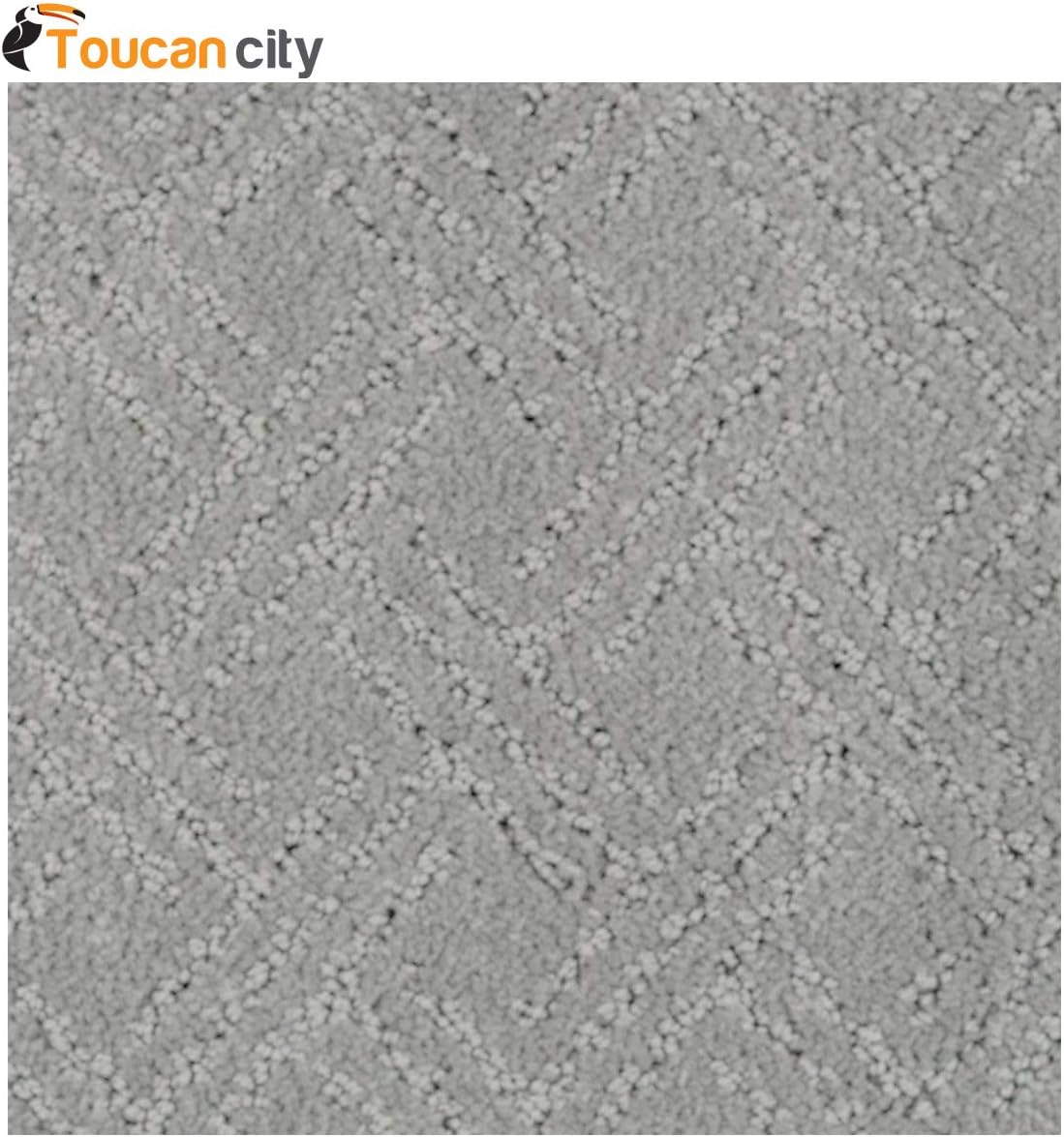 Amazon Com Toucan City And Carpet Sample Pure Color Griffin