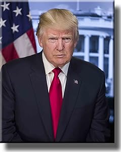 Donald Trump Portrait on Stretched Canvas Wall Art Décor, Ready to Hang!