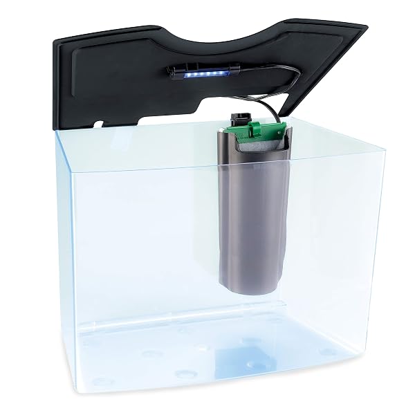 GLOFISH CRESCENT AQUARIUM KIT 3 GALLONS, INCLUDES HIDDEN BLUE LED LIGHT AND INTERNAL FILTER