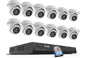 PANOOB 16 Channel Security Camera System, 12x 5MP Wired IP Turret Dome PoE Camera Outdoor, AI Human Detection, Built-in Mic, Remote Access, 4K 16 Channel NVR 4TB HDD for 24-7 Recording, PD93A1216-5M