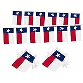 LUSEOAN 2 Packs Texas Mini Flag Banner String State of Texas Small Miniature Hanging Flags Decorations,60 Feet 40 Flags