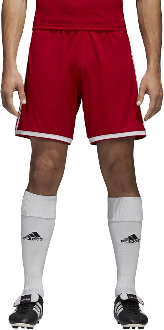 men's regista 18 training pant