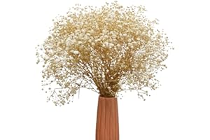 TooGet Natural Dried Flowers Babys Breath Bouquet Gypsophila Branches for Home Decor, Wedding, Table Decor, DIY Wreath Floral