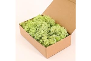 Dallisten Moss Preserved, Craft Reindeer Green Decorative Moss for Enchanted Forest Decorations, Fairy Garden, Party, Art Wall, Indoor Potted Plants,Table, Terrariums, Bonsai Decor (6Green,3.6OZ)