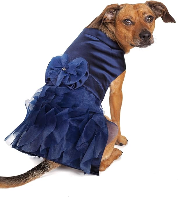 Tail Trends Special Occasion Dog Dress 