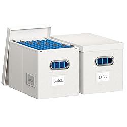 DYWMM Hanging File Box with Lid, Set of 2 Filing