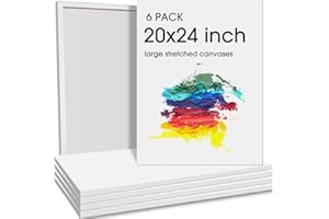 Sherr 6 Pcs 24 x 20 Inch Large Canvas for Painting Cotton Stretched Canvas Blank White Canvases Triple Primed Painting Profile Blank Canvases for Watercolor Acrylics Oil Painting