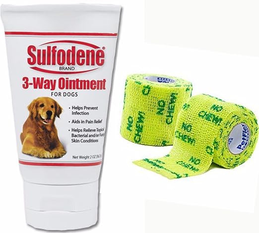 best ointment for dog hot spots