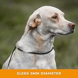 Dog & Field Signature Slip Lead Olive Green 1.25m Training Lead view 5