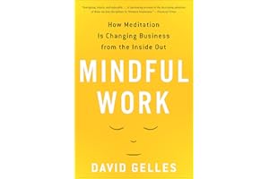 Mindful Work: How Meditation Is Changing Business from the Inside Out (Eamon Dolan)