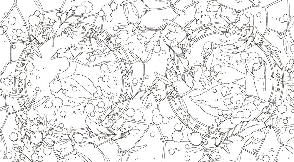 切り絵作家 大橋忍のcoloring Book どうぶつ 小鳥 花 鉱石の塗り絵 大橋 忍 本 通販 Amazon