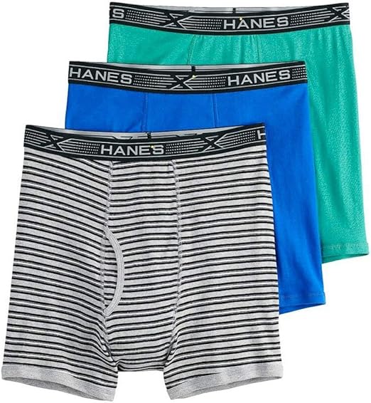 Hanes Men's Big Boxer Brief (Pack of 3) Amazon.sg Fashion