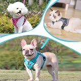 Grantop Cat Harness and Lead Set Adjustable Reflective Escape-Proof Grey S view 6