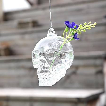 Hot New Cool Glass Skull Shape Flower Plant Stand Hanging Vase