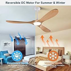 XBIBI 42 inch Ceiling Fans with Lights and