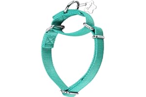 Dazzber Martingale Dog Collar, Escape-Proof and No Slip Design, Heavy-Duty Nylon with Metal Buckle, Adjustable for Small, Medium & Large Dogs, Colorfast for Training, Daily Walks (Tiffany Blue,M)