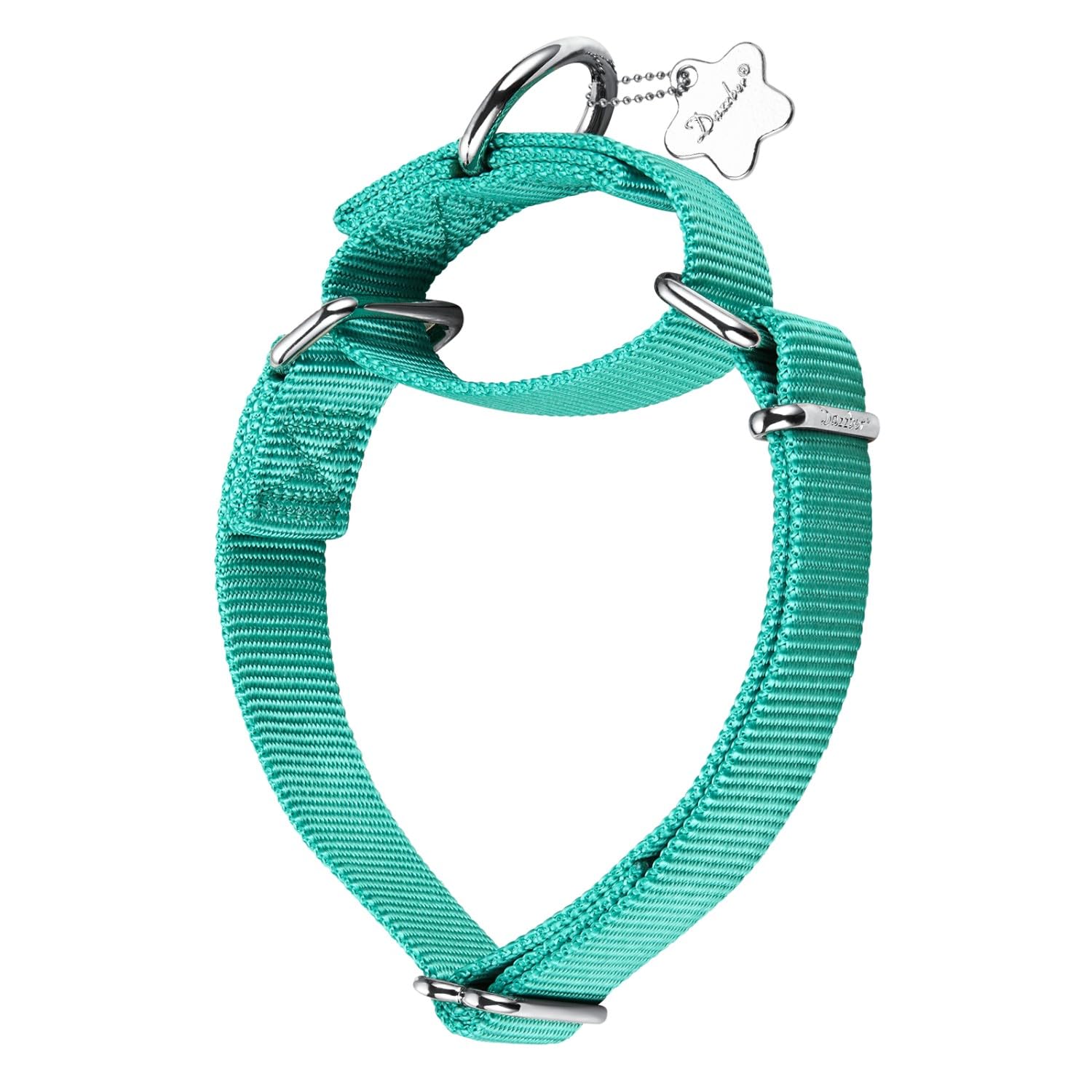 Dazzber Martingale Dog Collars - Heavy Duty Nylon Anti - Escape Pet Collar for Medium and Large Dogs - Walking Training Daily Use.(Large, Teal Blue)