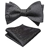 Alizeal Mens Formal Untied Paisley Suit Bow Tie and