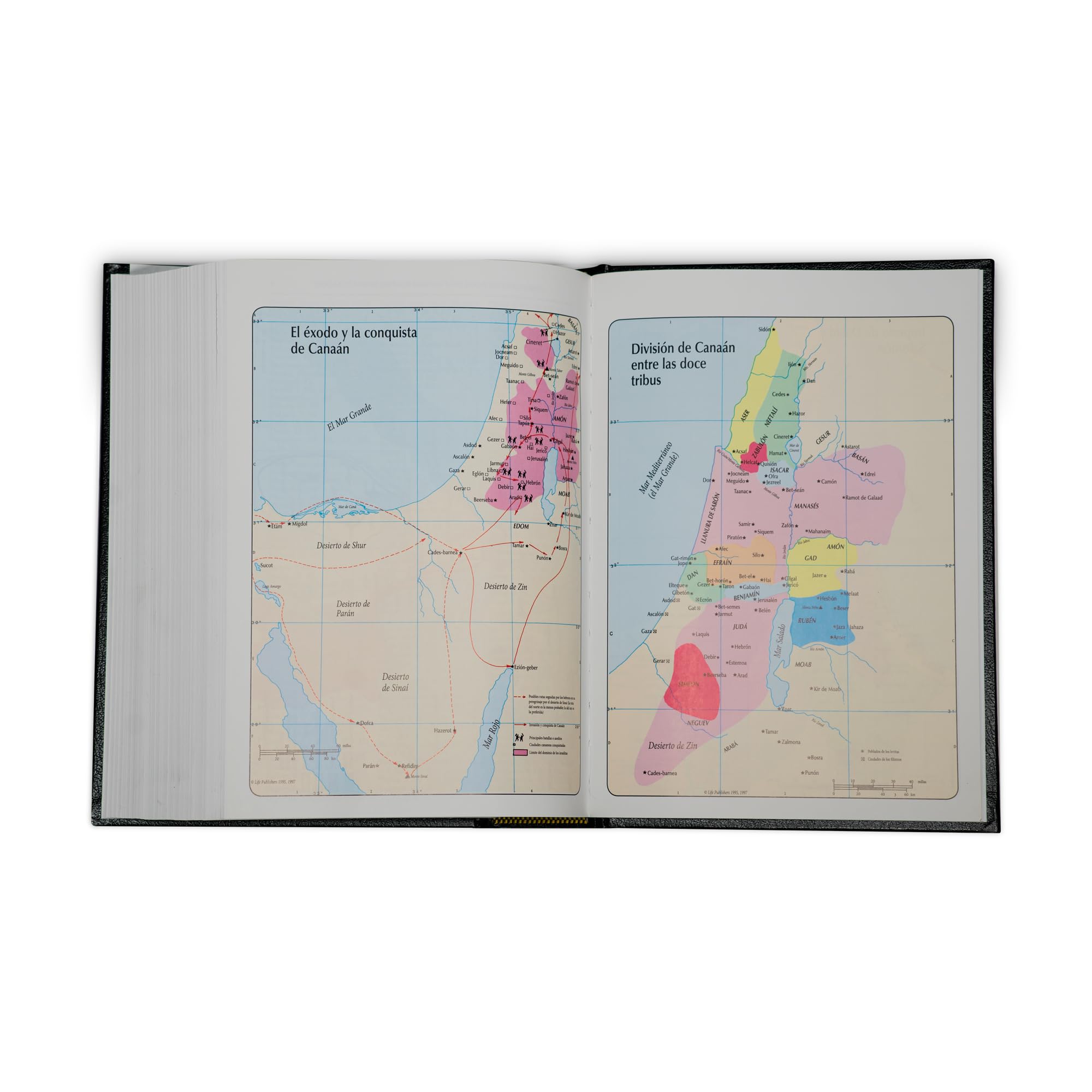 RVR60, Biblia de Estudio de la vida plena, Tapa Dura, Negro RVR60, Biblia de Estudio de la vida plena, Tapa Dura, Negro Hardcover Imitation Leather