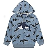 Akyzic Baby Boys Zip Up Hoodie Toddler Boys Jacket Cartoon Winter Long Sleeve Hooded Sweatshirt Tops Fall Coat Kids 2-7 Years
