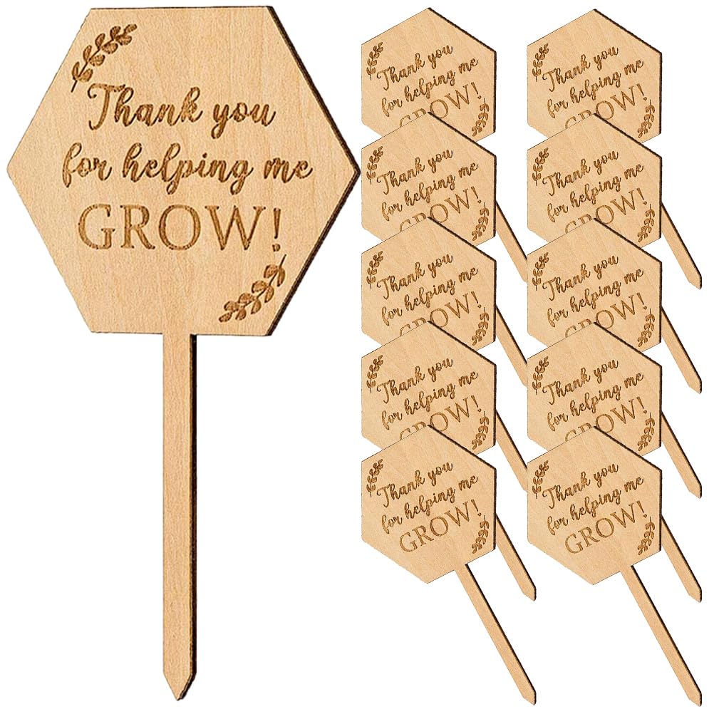 Sosoport 20PCS Wooden Plant Labels Plant Tags Hank You for Helping Labels Succulent Tags Garden Marker for Potted Herbs Flowers Vegetables