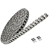 PGN Bearings #35 Nickel Plated Roller Chain – 10 Ft With Anti-Corrosion Coating + 2 Free Connecting Links