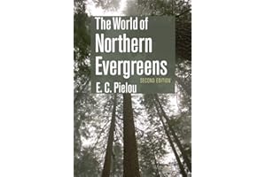The World of Northern Evergreens