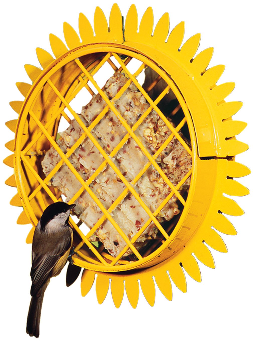 Artline Suet Sunflower Hanging Feeder