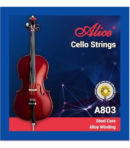Amazon.com: Evah Pirazzi Cello String Set – Premium Sound