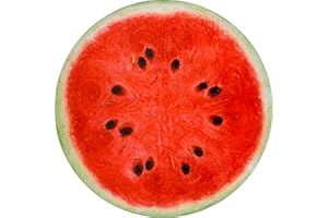 Vessia Watermelon Printed Throw Blanket, 60 inches Realistic Funny Round Food Blanket for Adults and Kids, 300GSM Novelty Fruits Throw for Couch, Sofa, Bed, Fun Home Decor for All Seasons