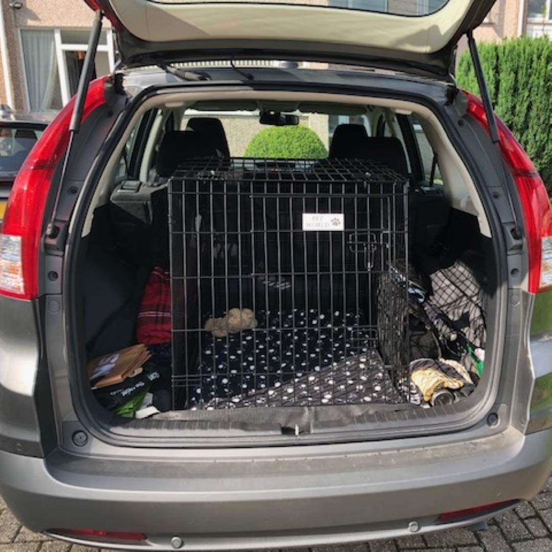 pet world dog crates