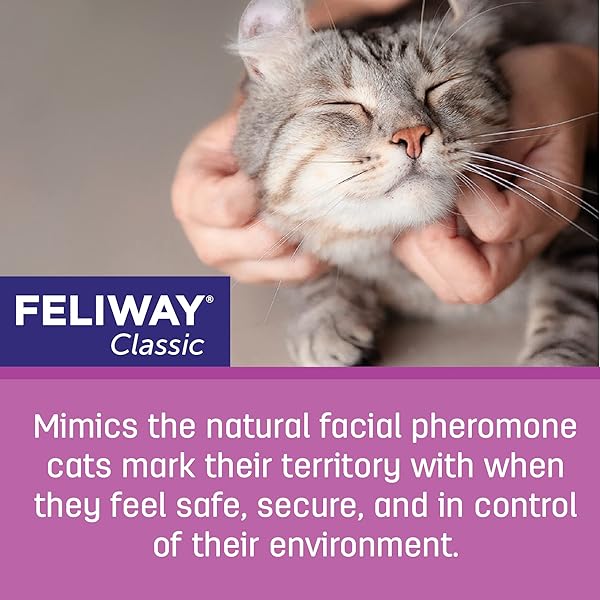 FELIWAY® CLASSIC 30 DAY CAT CALMING REFILL FOR PHEROMONE DIFFUSER, 48ML – HELPS REDUCE COMMON SIGNS OF STRESS IN CATS & KITTENS, ENHANCED CALMING