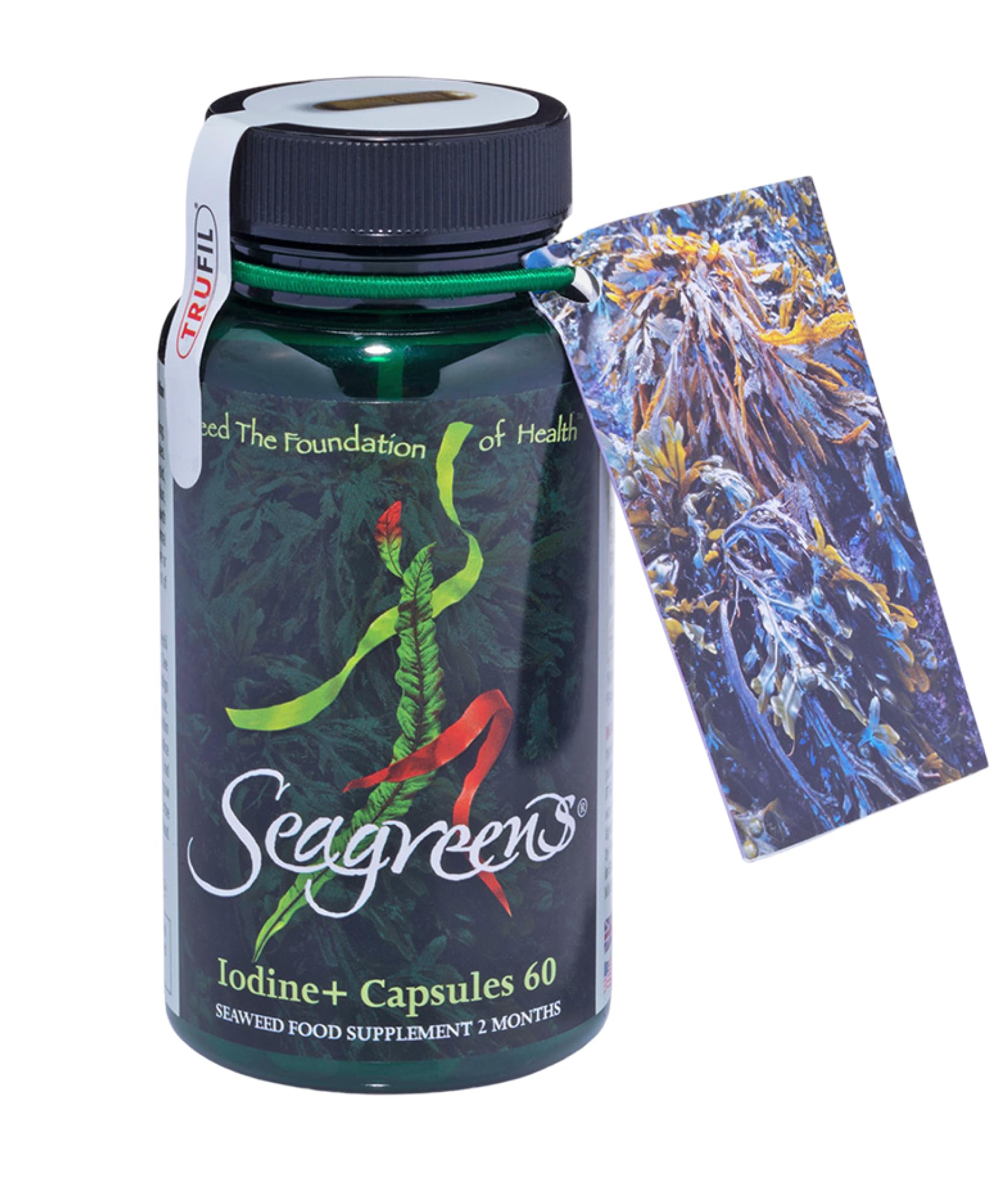 Seagreens Iodine+ Organic Seaweed Supplement, 2 Month Supply, 390mcg Natural Iodine from Seaweed, Vegan, Plant-Based, Thyroid & Radiation Support, 60 Capsules