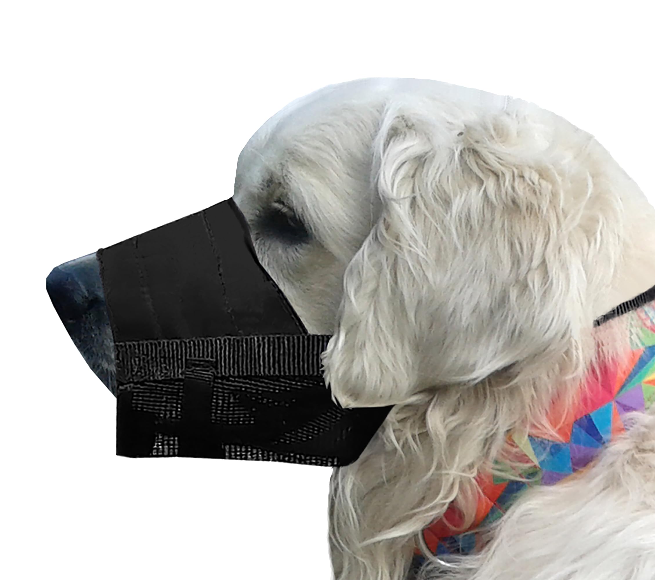 Dingo Waldemar Rutkowski Adjustable Nylon Muzzle Breathable Mesh for Medium Breeds, Doberman, Retriever, Schnauzer, Terrier, M Black 16775-2