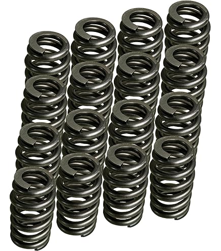 Brian FVタイプ Amazon.com: Brian Crower BC1070 Valve Spring (Honda D16Y8