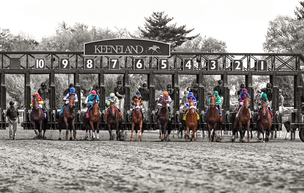 Photographs - Horse Wall Art Photography Print - Picture of Keeneland Horse Races - Lexington - Bluegrass - Kentucky - Artwork for Home Decoration