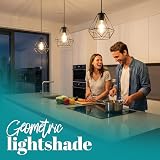 Giggi Black Ceiling Light Wire Basket Pendant Lighting view 5
