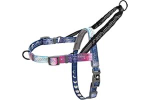 Leash Boss No Pull Dog Harness, Easy Walk for Small, Medium, and Large Pets, Reflective with Rear and Front Clip Attachment (Space Pattern, Medium)