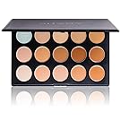 SHANY Cosmetics Professional Cream Foundation and Camouflage Concealer 15 Color Palette, 13 Ounce