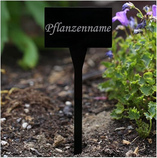Acrílico cristal – Etiquetas para plantas (rectangular negro ...