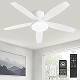 ZMISHIBO 48 inch Ceiling Fans with Lights and