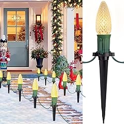 C9 Christmas String Lights Outdoor - 20 LED Pathway