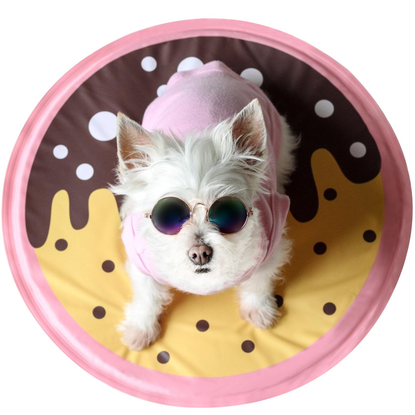 little dove Pet Supplies Canvas Star Style Pet Teepee and Kennels Dog Play House Play Tent Cat Bed (Cooling)