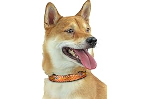 Zubaz X Pets First NFL Kansas City Chiefs Collar For Dogs & Cats, Large