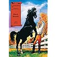Black Beauty Graphic Novel (Saddleback's Illustrated Classics)