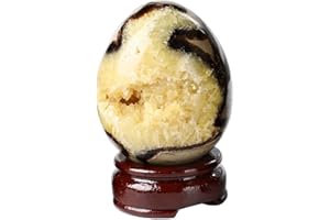 FZBHRO Natural Septarian Geode Egg Polished Healing Crystal Stone Collection Septarium Mineral Specimen with Stand Home Office Decor 0.8-1.3 Pound