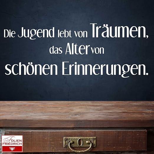 Wandtattoo Sprüche W685 Die Jugend Lebt Von Träumen Das