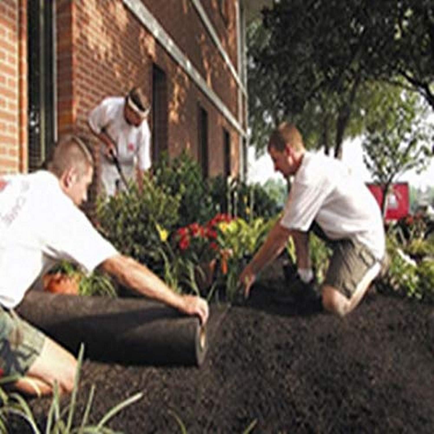 Typar 3201L-162 Premium Landscape Fabric, 300-Feet Length