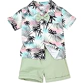 CETEPY Toddler Baby Boy Summer Clothes Hawaiian Outfit Short Sleeve T-shirt Top & Shorts Set 12 Months-4 Years old